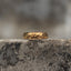 Gold-tone band ring with a polished faceted center and smooth raised edges, front view