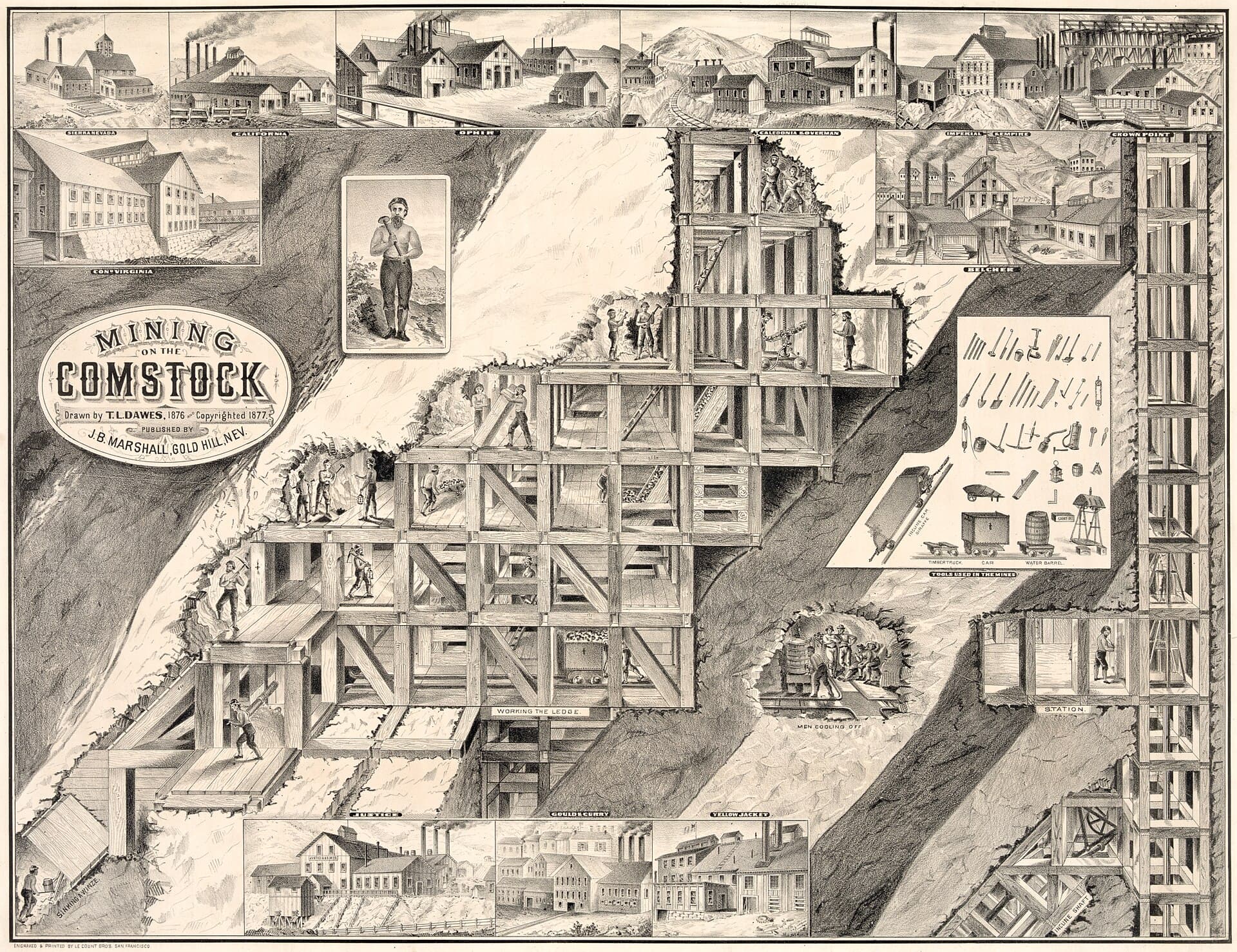 The Most Collected Coin in American History — And Why It Never Lost Its Pull