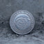 Close-up of a coin engraved with a single large eye, detailed iris and pupil, concentric ripple rings radiating outward, E Pluribus Unum border, dated 1881, on dark stone