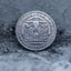 Close-up of a coin engraved with a horned bull skull, Eye of Providence above, spread wings on either side, rose motifs below, E Pluribus Unum border, dated 1921