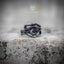 Open adjustable ring with multiple coiled snakes intertwined — oxidized dark silver finish, serpent bodies layered across the band, front view on stone