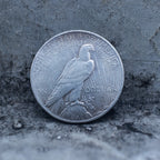 Peace Dollar reverse showing a standing eagle, E Pluribus Unum, United States of America, and One Dollar denomination on dark stone surface