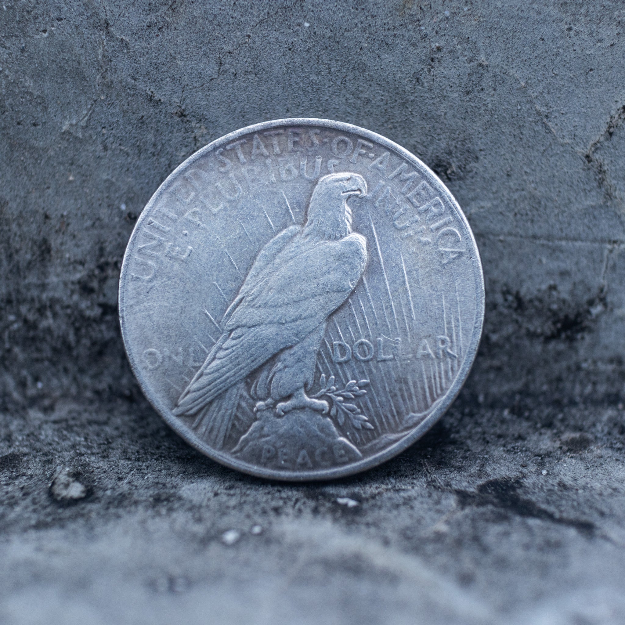 Peace Dollar reverse showing a standing eagle, E Pluribus Unum, United States of America, and One Dollar denomination on dark stone surface