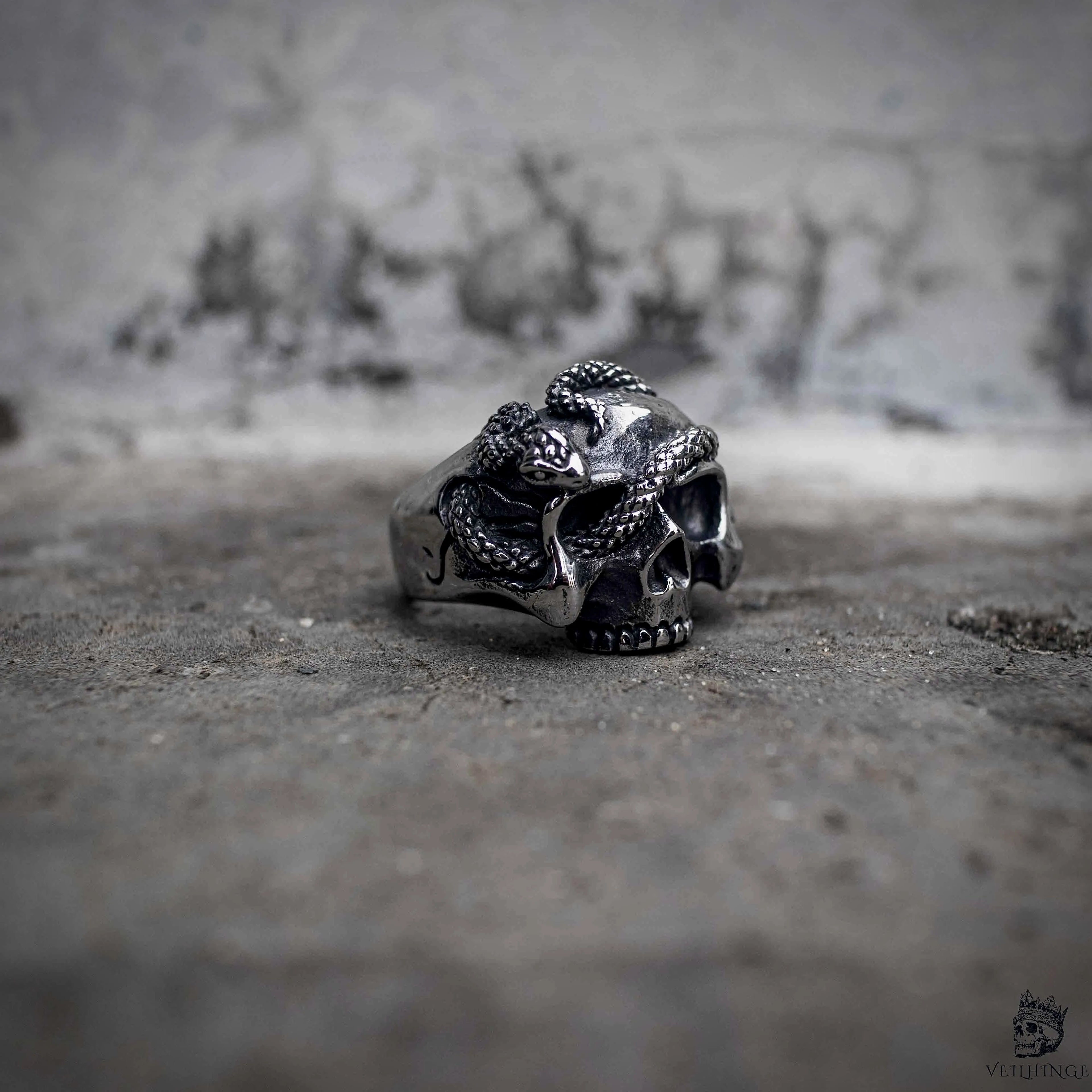 Snake skull ring with serpent wrapped around full skull face in oxidized antique silver stainless steel, gothic dark aesthetic statement ring by Veilhinge, front view