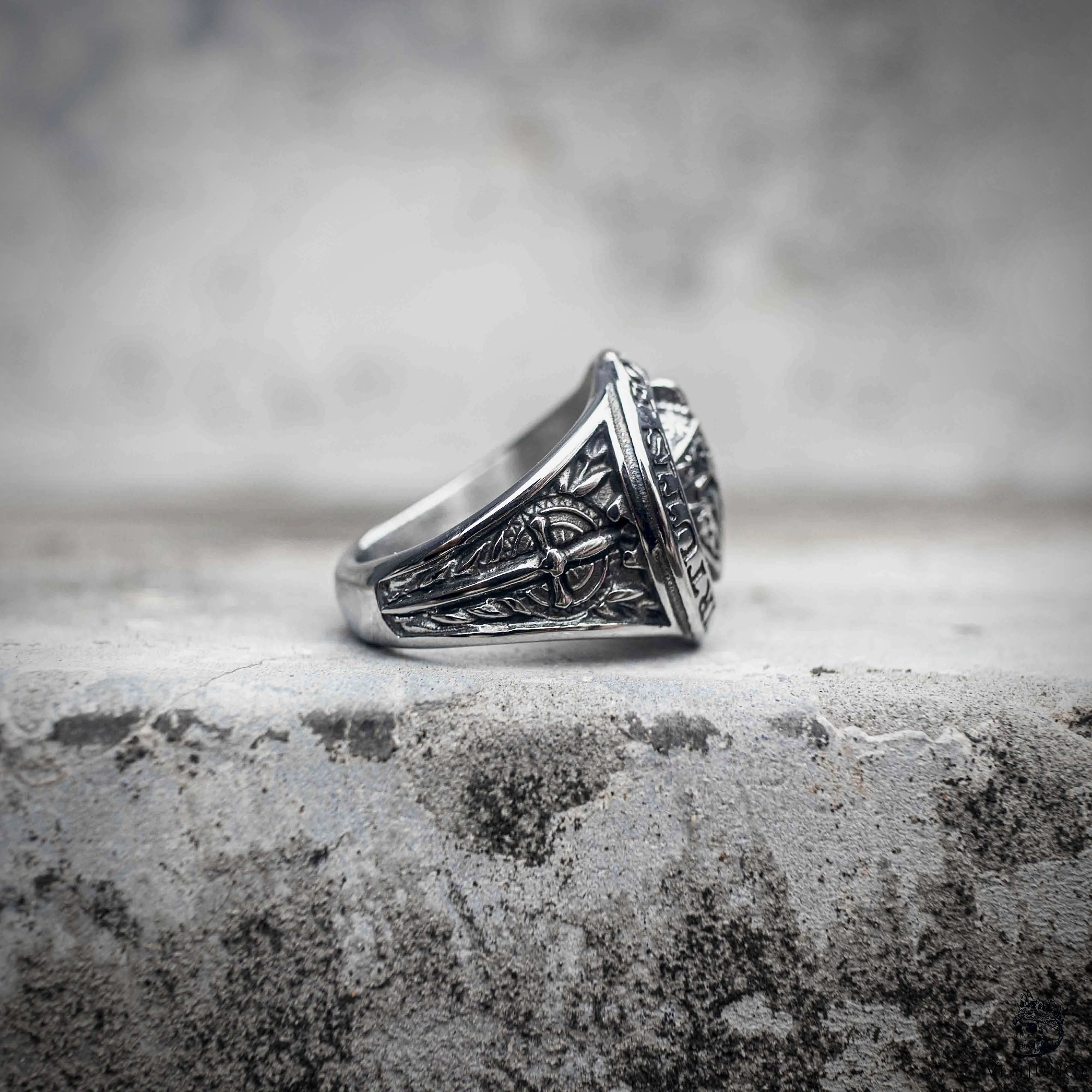 Aegis Spartan Signet Ring | Warrior Stainless Steel Ring | Veilhinge
