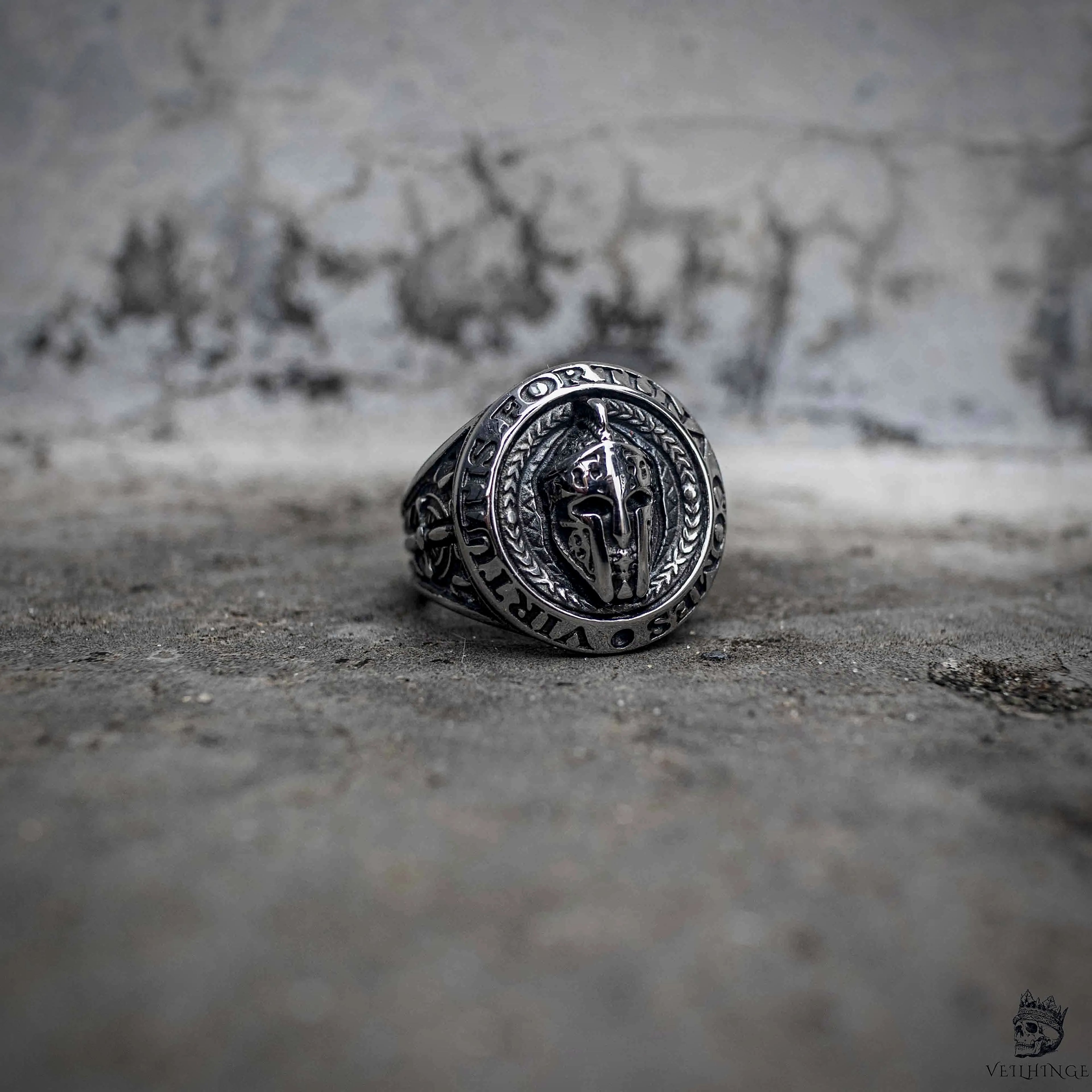 Aegis Spartan Signet Ring | Warrior Stainless Steel Ring | Veilhinge