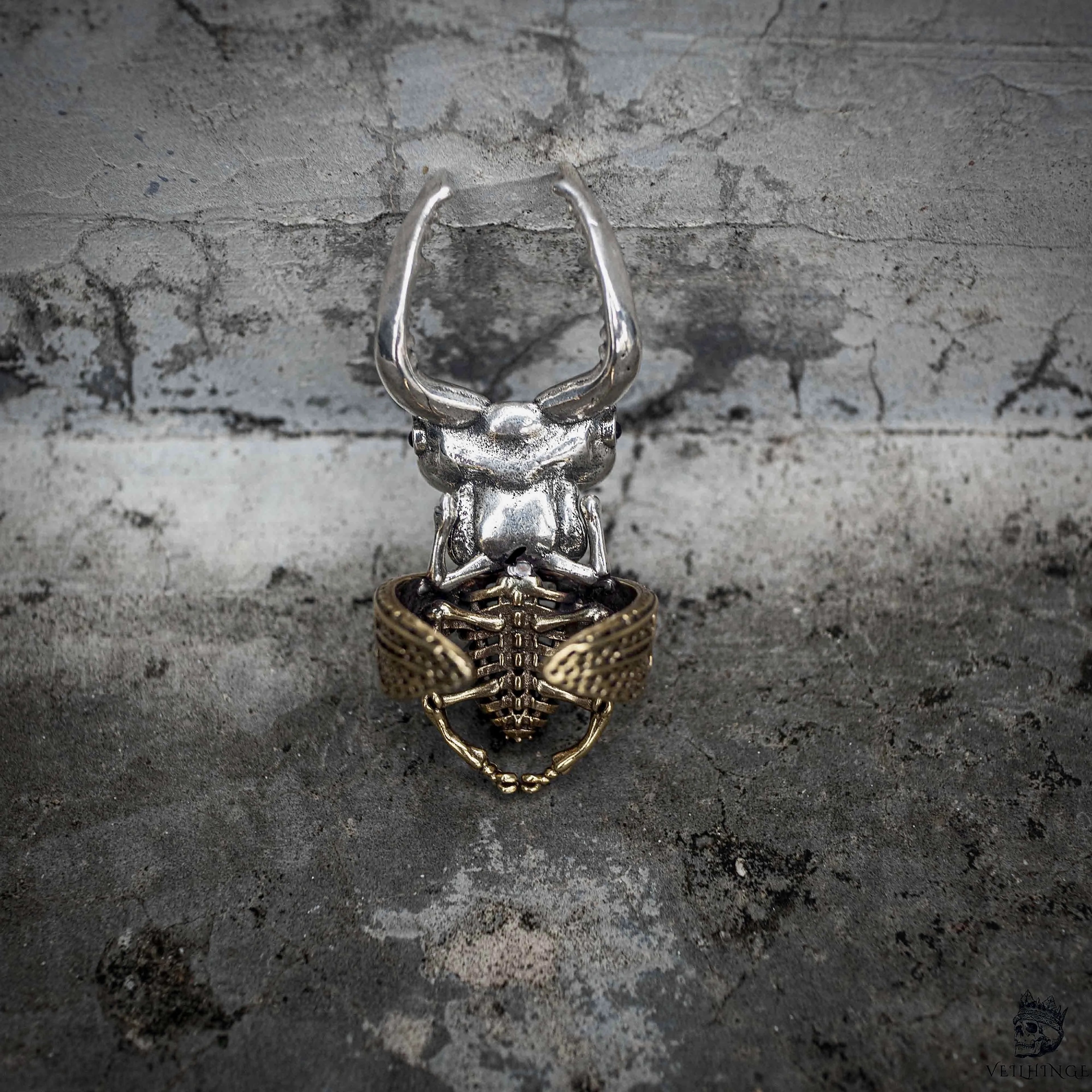 Stag beetle ring back view showing bronze elytra wing case texture and silver head in dual tone stainless steel, gothic dark nature statement ring by Veilhinge