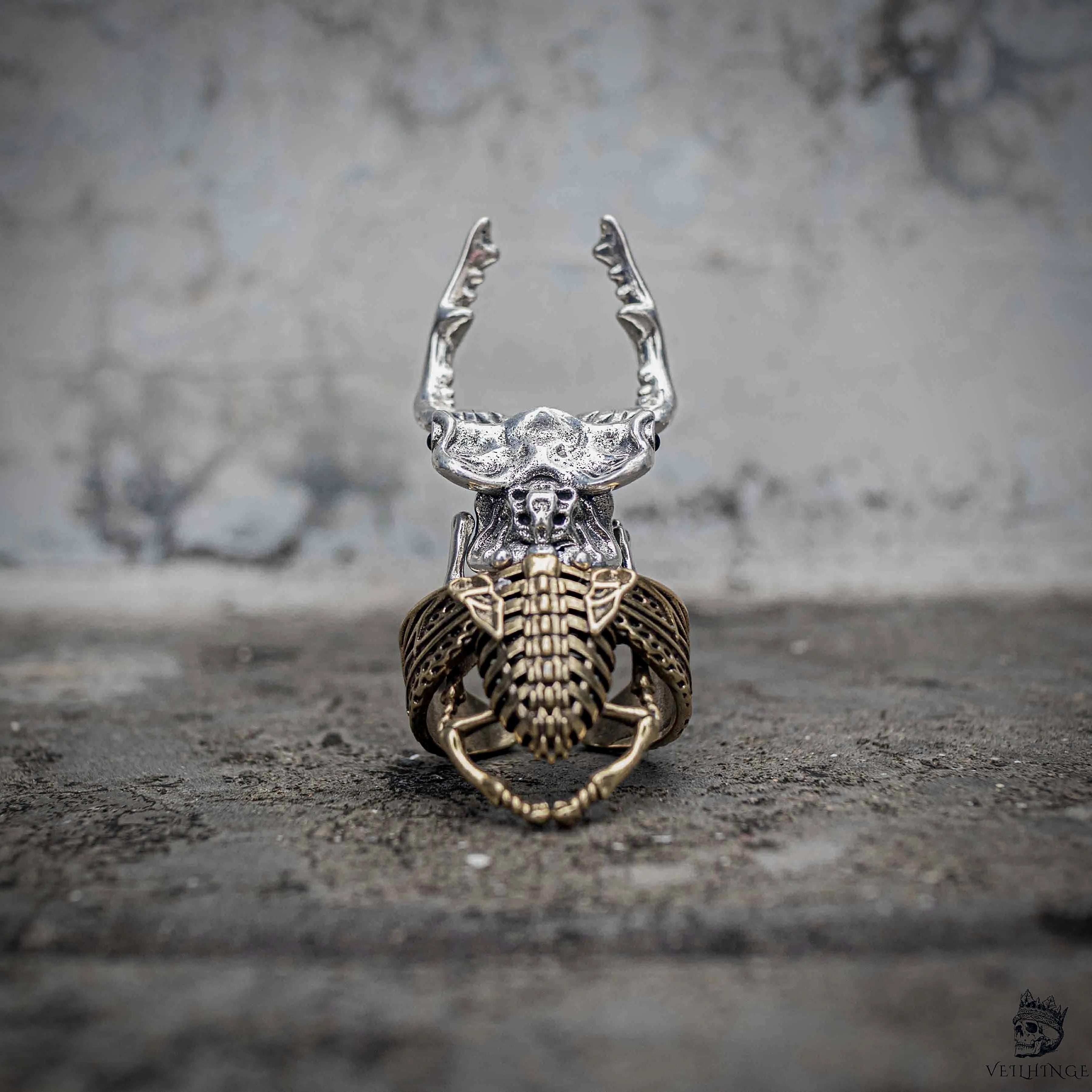 Stag beetle ring with silver stainless steel head and bronze body in dual tone metal, dark nature gothic statement ring by Veilhinge, front view